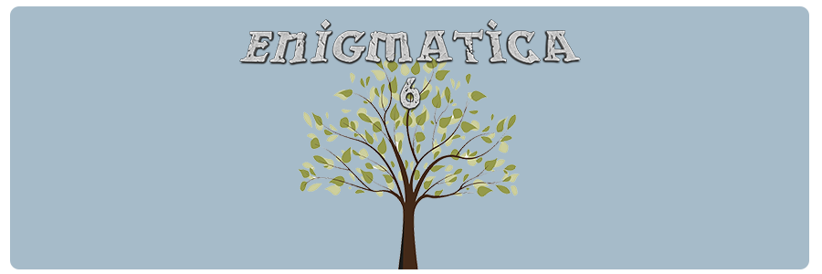 Enigmatica 6